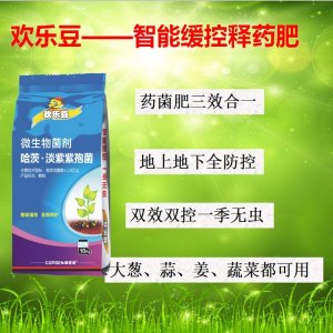 歡樂豆 大蔥藥肥OEM代加工