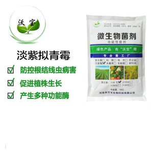 淡紫擬青霉高效殺滅線蟲OEM/ODM代加工