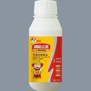 喜百農潰腐立變 柑橘橙子桃潰瘍病專用殺菌劑代加工貼牌OEM/ODM