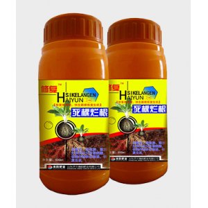 死棵爛根貼牌定制代加工