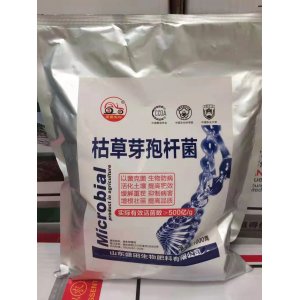 盛田枯草芽孢桿菌OEM/ODM代加工