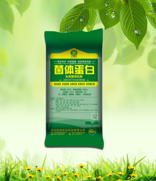 菌體蛋白OEM代加工