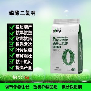 河南豆本行生物技術(shù)有限公司