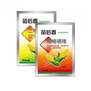 苗后香OEM/ODM代加工