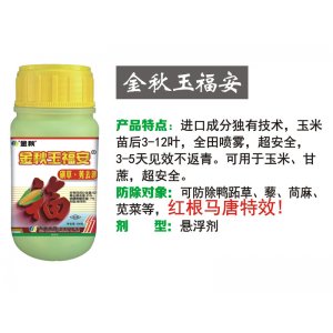 金秋玉福安貼牌定制代加工