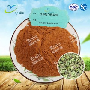 杜仲雄花提取物OEM/ODM定制代加工