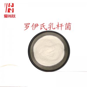 羅伊氏乳桿菌可OEM/ODM代工
