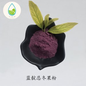 藍靛忍冬果粉OEM代加工 藍靛忍冬果粉OEM代加工