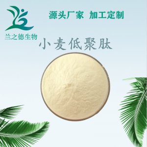 （蘭之德生物）小麥低聚肽OEM/ODM代加工