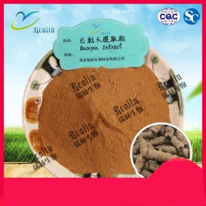 巴戟天提取物貼牌OEM/ODM