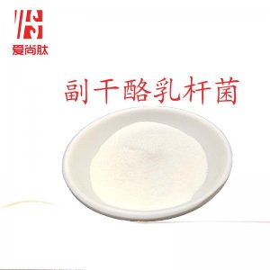 副干酪乳桿菌OEM/ODM定制代加工