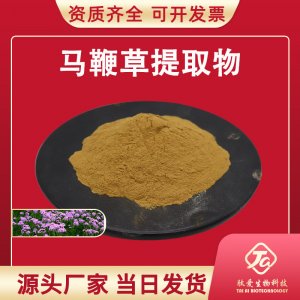 馬鞭草提取物10:1代加工貼牌OEM/ODM