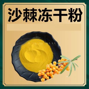 沙棘 凍干粉代加工貼牌OEM/ODM 沙棘 凍干粉代加工貼牌OEM/ODM