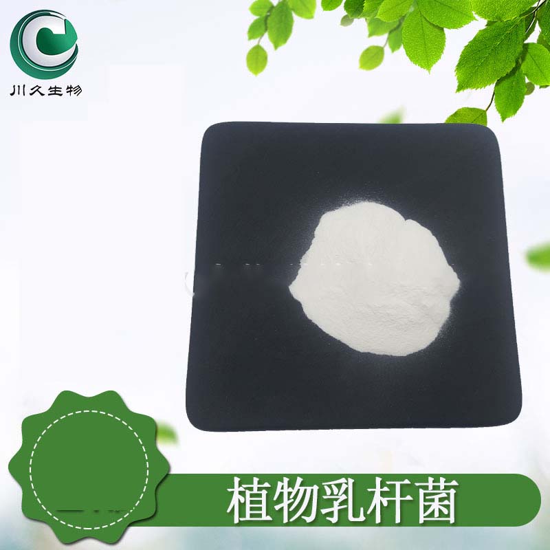 （益生菌原粉）植物乳桿菌OEM代加工,實(shí)力工廠日產(chǎn)量高達(dá)2000件