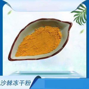 沙棘凍干粉貼牌OEM/ODM