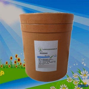 L-抗壞血酸棕櫚酸酯貼牌OEM/ODM