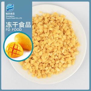 凍干芒果丁OEM代加工