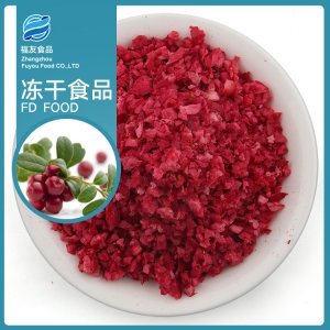 凍干蔓越莓丁貼牌OEM/ODM
