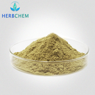 橄欖苦甙代加工,國際化標準車間隨時待命