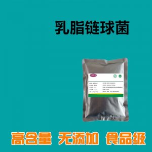 乳脂鏈球菌OEM代加工