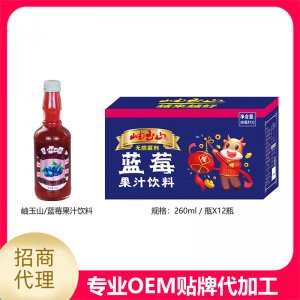 藍(lán)莓果汁260mlOEM/ODM代加工
