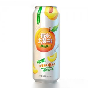 南寧市嘉能可食品股份有限公司