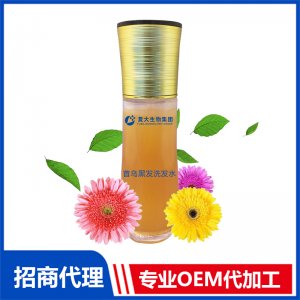 首烏黑發(fā)洗發(fā)水OEM/ODM定制代加工