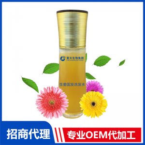 生姜固發(fā)洗發(fā)水OEM/ODM代加工