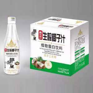 椰芝星（廣東）食品有限公司