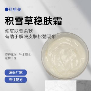 廣東科笙美化妝品有限公司