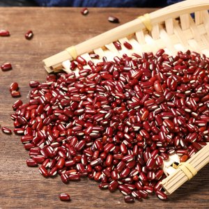 亳州匯仲堂生物科技有限公司