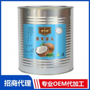 升升園椰果罐頭3kg水果罐頭oem貼牌定制 果蔬罐頭代工源頭廠家