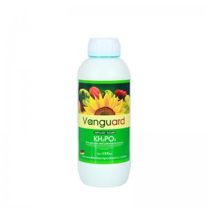 全水溶葉面肥亞磷酸鉀 高磷高鉀水溶肥 膨果保花保果控梢控旺肥料代加工貼牌OEM/ODM