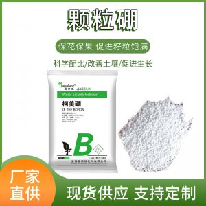 顆粒硼200g貼牌OEM/ODM