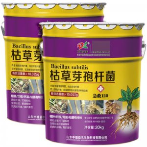 果樹蔬菜生根壯苗改善土壤草莓白粉病專用水溶肥料OEM/ODM定制代加工