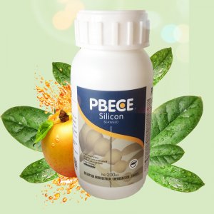 硅肥水溶肥 農用硅肥 酸性優硅 防蟲抗病 抗倒伏 瓜果蔬菜專用肥OEM/ODM代加工