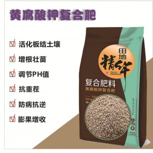 生物有機黃腐酸鉀顆粒水溶肥貼牌定制代加工