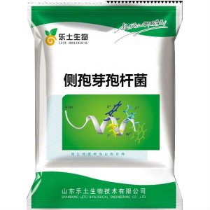 側孢短芽孢桿菌 100億/g 全水溶 生物防治菌腐熟有機肥微生物菌劑貼牌OEM/ODM
