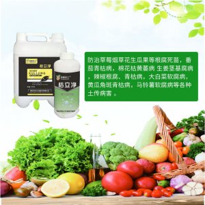 泰安市樂土生物技術有限公司