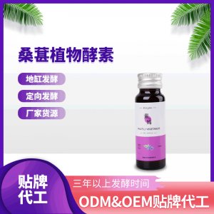 桑葚植物酵素口服液 OEM ODM代工貼牌 廠家貨源 桑葚酵素酵素原液