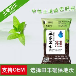 田豐化工(山西)集團股份有限公司