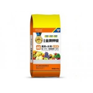 石家莊大化肥業有限公司