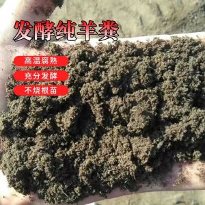 滄州慶科生物肥料有限公司