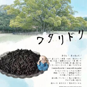 石家莊寧益生物科技有限公司