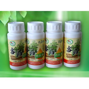 當歸營養(yǎng)液OEM代加工