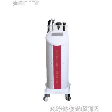 菲斯曼產后綜合修復儀