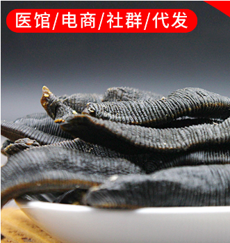 水蛭中藥材OEM代加工