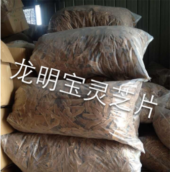 龍泉市龍明寶靈芝專業合作社