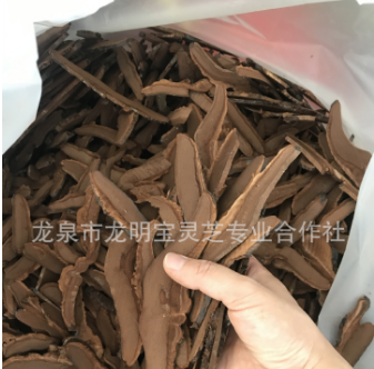 紫靈芝切片 OEM貼牌代工