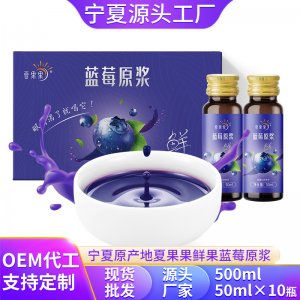 夏果果藍(lán)莓原漿藍(lán)莓汁500mlOEM代加工